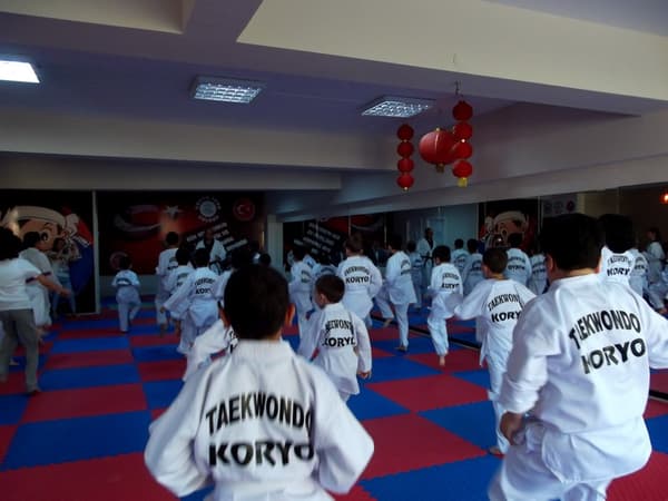 Yaşamkent Koryo Spor Kulübü - 16. Fotoğraf Yaşamkent Koryo Spor Kulübü - 16. Fotoğraf
