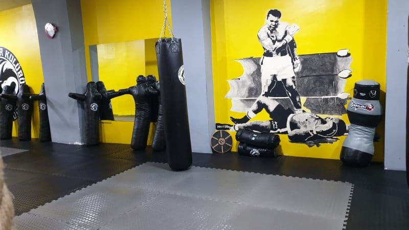 Deniz Spor Kulübü - Cimnastik