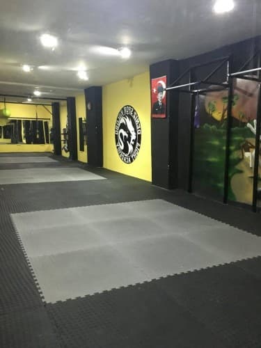 Deniz Spor Kulübü - Cimnastik