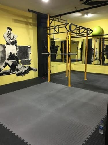 Deniz Spor Kulübü - Cimnastik